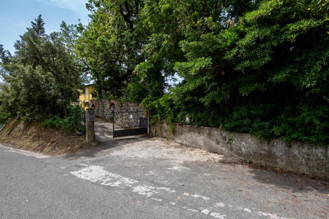 カザルツァ・リーグレ187 - Ca Da Pincianna, Con Giardino A 15 Minuti Dal Mareアパートメント エクステリア 写真